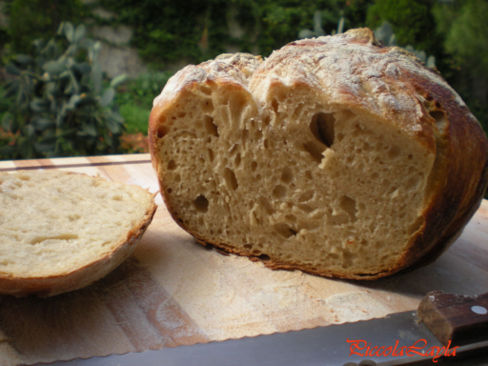 Il mio primo vero Pane senza impasto con Pasta Madre