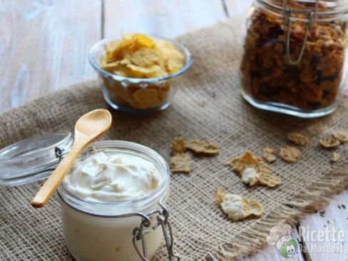 Yogurt greco fatto in casa