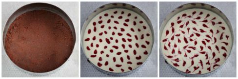 Cheesecake alla ricotta e lamponi