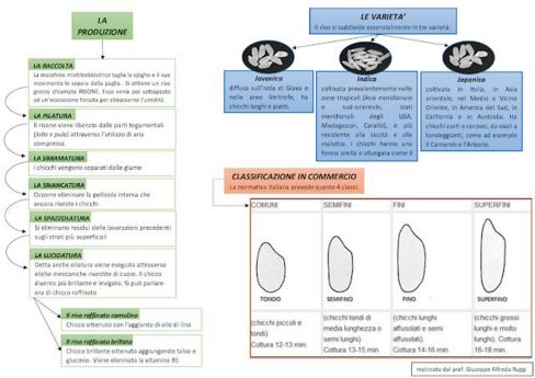 Il riso: schema su varietà, tipologie e produzione