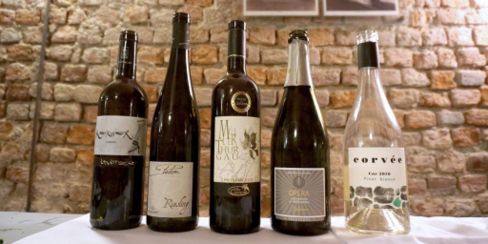 Valle di Cembra, grandi bianchi di montagna