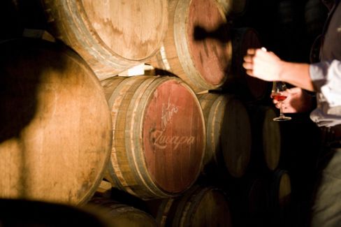 Tour Zacapa: un viaggio enogastronomico dedicato dai  migliori chef italiani  al pregiato rum guatemalteco