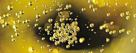 Laboratori sullo champagne a Roma, Remigio