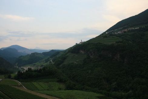 Il Müller Thurgau - Ritorno in Val di Cembra (Tn)