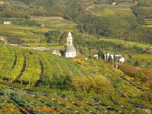 KILOMARAZERO: a Marano di Valpolicella il vino a Km 0