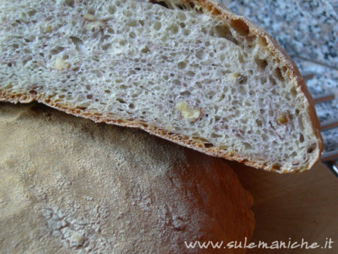 Pane alle noci a lievitazione naturale
