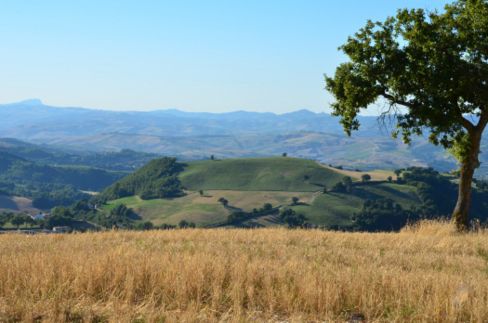 Girolomoni: la pasta biologica italiana chiude la filiera