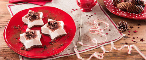 Raccolta di Ricette Dolci e Dessert di Natale, tantissimi dessert facili e gustosi.