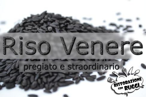 Il riso venere - perché è nero?
