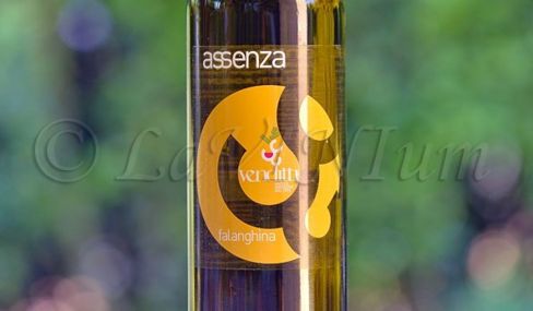 Produttori, un vino al giorno: Falanghina del Sannio Assenza 2017 – Antica Masseria Venditti