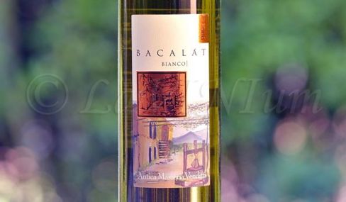 Produttori, un vino al giorno: Sannio Bianco Bacalàt 2017 – Antica Masseria Venditti