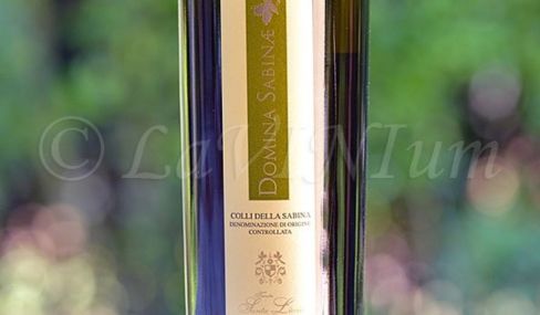 Produttori, un vino al giorno: Colli della Sabina Bianco Domina Sabinae 2015 – Tenuta Santa Lucia