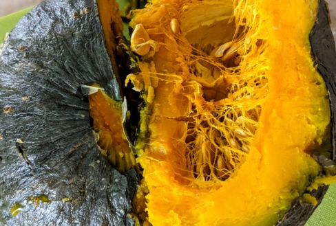 Come cuocere la Zucca (intera) nell’Instant Pot