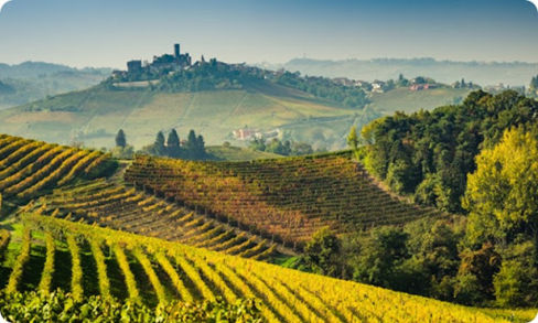 Le 15 più gustose strade dei vini e dei sapori in Italia, da gustare con calma, percorse da vigneti.