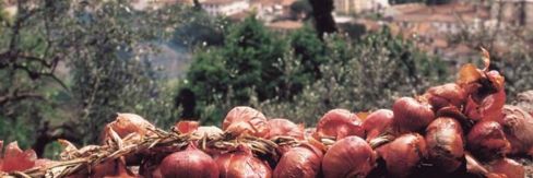 Certaldo e la sua cipolla