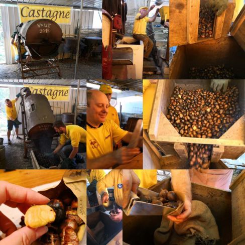 FESTA DELLE CASTAGNE E DEL MIELE DI CASTAGNO A VALLE DI SOFFUMBERGO