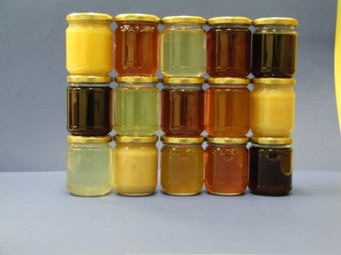 I migliori mieli del FVG