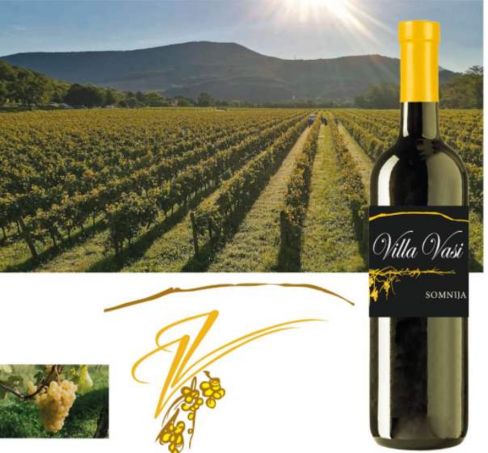 Visita qubista alla cantina Villa Vasi