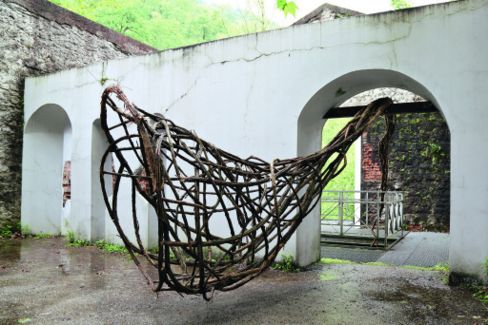 Humus Park  INTERNATIONAL LAND ART