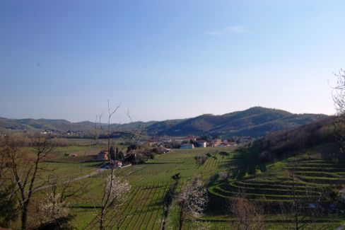Passeggiare tra le vigne di Schioppettino, marciare tra boschi e sentieri: a Prepotto si può!