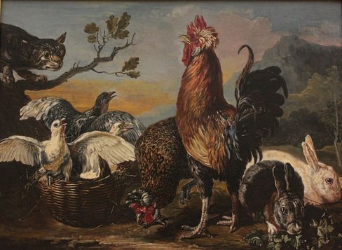 Animali da bassa corte: quali sono?