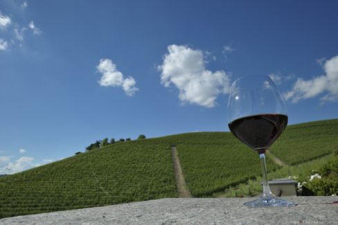 A Collisioni gemellaggio fra vini FVG e Barolo