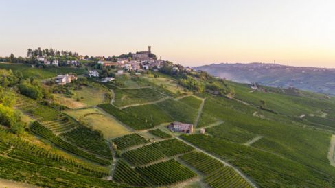 Valutare il potenziale qualitativo del vigneto con l'indice Bigot