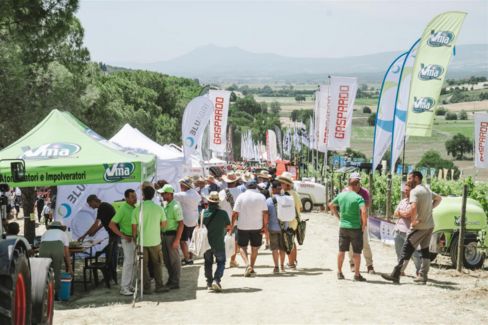 Enovitis in campo in Piemonte