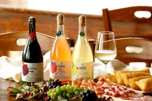 Barbaterre biocantina propone tre vini ancestrali rifermentati
