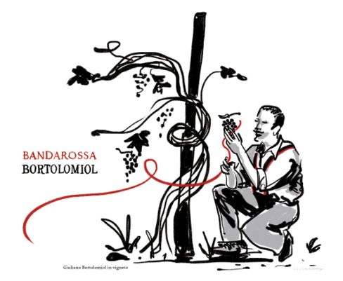 Bortolomiol cento anni di sguardo al futuro