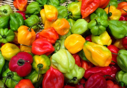 Peperoni per tutti i gusti