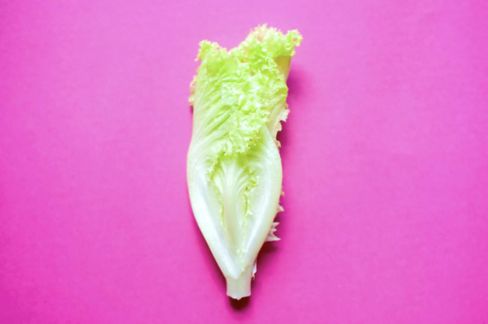 Lattuga: 12 varietà per conoscere l'”insalata”