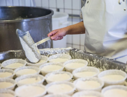 Cilento: i 10 migliori caseifici per provare la mozzarella di bufala (e molto altro)