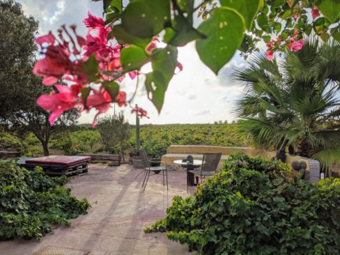 Passito di Pantelleria: una guida completa