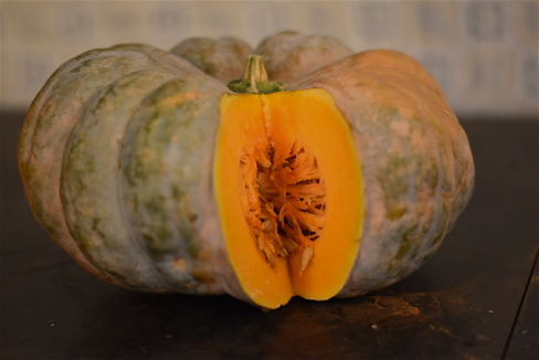La zucca di Halloween può mangiare, ma fa schifo
