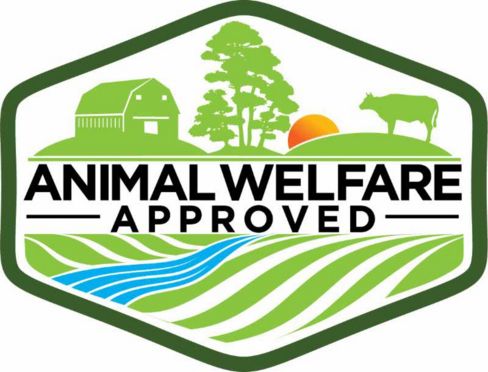 Humanewashing: denuncereste una mucca felice per pubblicità ingannevole?