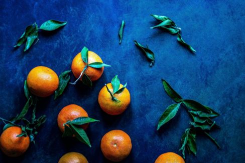 Agrumi: le 19 varietà da conoscere