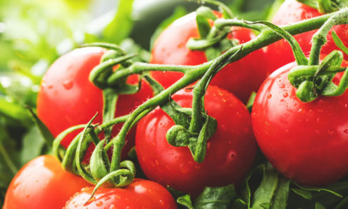 Il Pomodoro nei menù dei grandi cuochi italiani