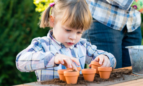 Orto fai da te: cosa seminare a novembre