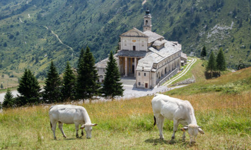 Castelmagno DOP: il re dei formaggi italiani