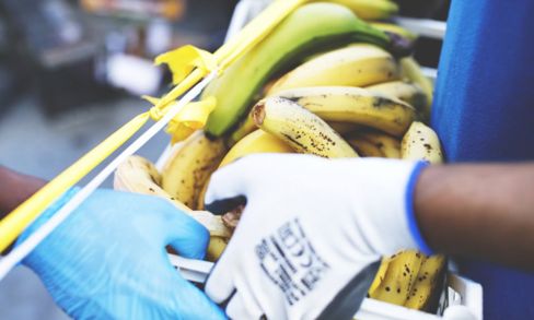 ReFoodGees: un progetto di lotta allo spreco alimentare