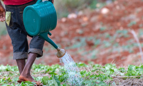 “Sotto padrone”, il libro contro lo sfruttamento dei lavoratori nell’Agro Pontino