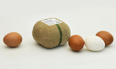 Biodegrapack: il packaging alimentare che si può piantare