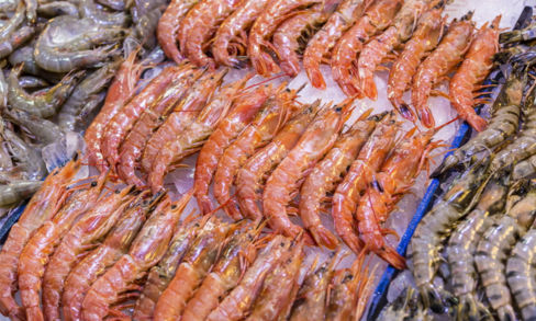 Gamberi dall’estero: da dove arrivano e quanto sono sicuri?