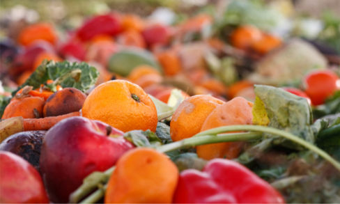 Il 17% del cibo prodotto e venduto viene buttato: i dati del Food Waste Index Report 2021 dell’UNEP