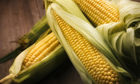 Pannocchie: ecco come sceglierle, pulirle e cucinarle