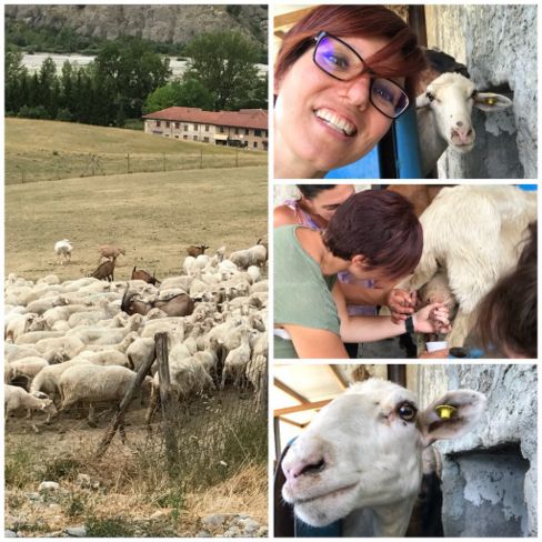 Tra monti e pecore alla scoperta del Montèbore