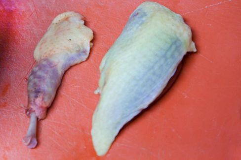 Bomba di riso, la ricetta con il ragù di maiale e vitello invece del piccione