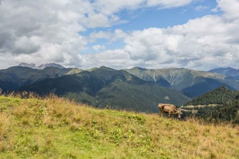 Ristoranti chiusi causa Covid: 3,8 miliardi persi per l’agroalimentare