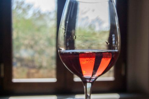 Vini rosè: i 10 migliori sotto i 10 € da comprare online o al supermercato